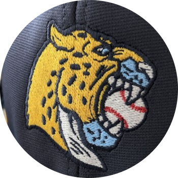 Embroidery icon